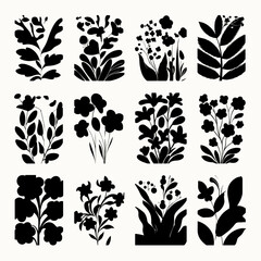 Poster - Artistic Botanical Collection: A striking collection of minimalist botanical illustrations in black and white, showcasing a variety of plant forms with clean lines and artistic flair.