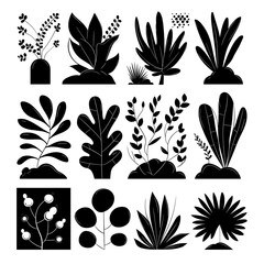Poster - Botanical Silhouettes: A collection of elegant and minimalist botanical silhouettes, offering a versatile and artistic design element.