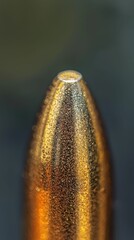 Poster - Macro Shot of Bullet Tip Surface Revealing Intricate Details