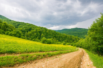 Wall Mural - dirt road through forested countryside. deciduous trees. beautiful summer rural landscape in mountai