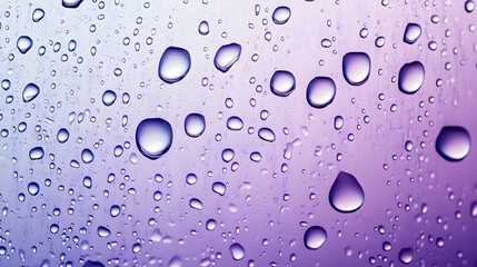 Poster - Water droplets on a gradient background, vibrant colors blending from purple to blue, ideal for design or creative projects.