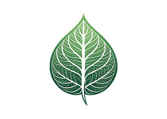 Wall Mural - green leaf isolated on white background