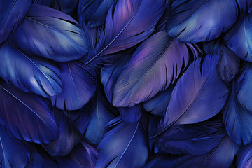 Fototapete - Close-up of dark blue feathers, showcasing intricate texture and subtle color variations Symbolizes elegance, mystery, and serenity, ideal for design backgrounds