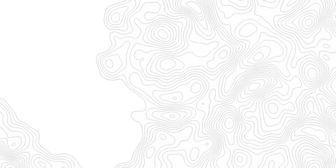 Poster - abstract topo contour map on white background, topographic contour lines. seamless discovery compass