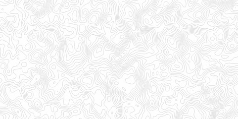 Poster - abstract topo contour map on white background, topographic contour lines. seamless discovery compass