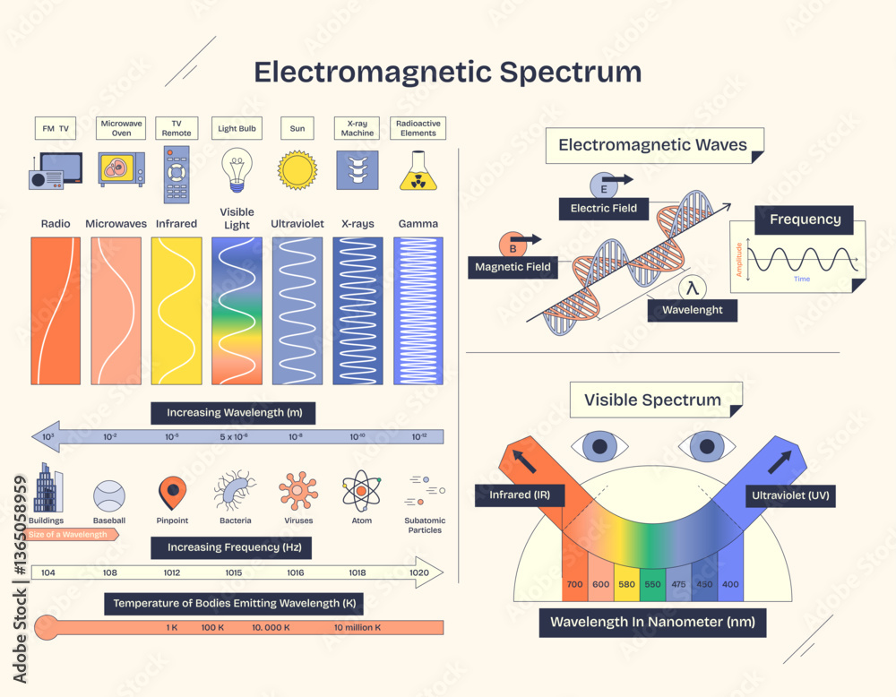 Electromagnetic spectrum diagram shows waves, frequency, and visible ...