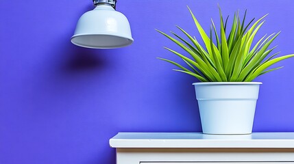 Poster - A green plant sits beside a lamp on a white shelf