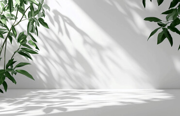 Poster - Minimalist white wall and floor with green leaves and shadows creating a serene and bright backdrop