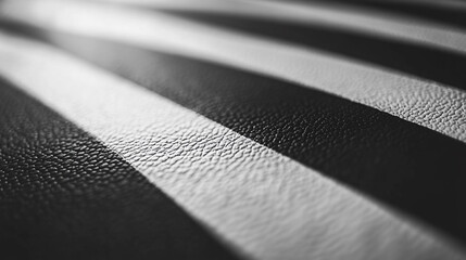 Poster - Close up of black and white striped textured surface with shadows and light alternating evenly