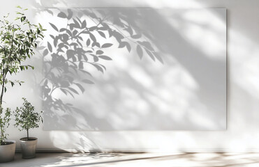 Poster - Indoor scene with potted plants casting shadows on a white wall and floor in bright sunlight