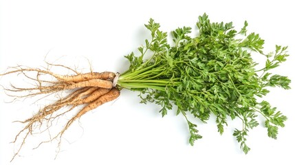 Poster - Fresh carrot tops with long greens and roots still attached 