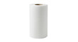 © Johanna - Isolated Embossed White Paper Towel Roll