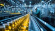 © KASUEMA SALAE - A factory floor dedicated to food production, with automated machines packaging bottled drinks and workers managing the assembly line