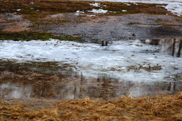Poster - A frozen puddle with ice on the ground, perfect for winter scenes and cold weather themes.
