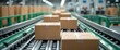 © KenPix - efficient manufacturing process with moving boxes on conveyor belt