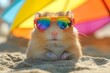 
chomik, uroczy chomik, puszysty chomik, tęczowe okulary, okulary przeciwsłoneczne, plażowy chomik, relaks, plaża, piasek, parasol plażowy, kolorowy parasol, tropikalna sceneria, lato, wakacje, radosn