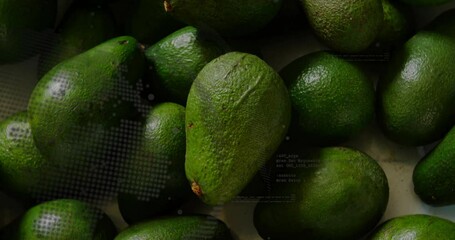 Poster - Avocados with digital data processing animation overlay in fresh produce market