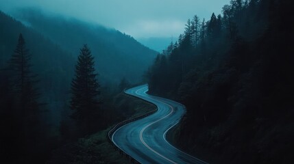 Poster - Serpentine Road through Moody Forest Landscape with Evergreen Trees under Overcast Skies