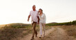 © peopleimages.com - Countryside, walking and holding hands with senior couple, romance and relationship with vacation for honeymoon. People, space and outdoor with old man, mature woman and farm with marriage and love