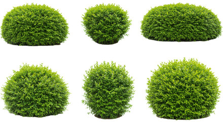Poster - A collection of six green moss balls arranged in two rows against a pixelated gray background pattern design