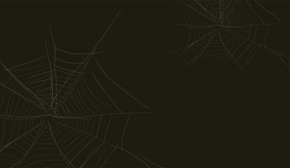 spiderweb (20241103075423).eps