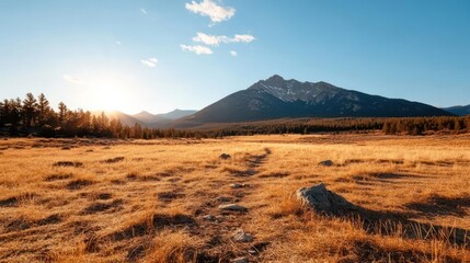 Aufkleber - A golden field with a path leading to a mountain range under a blue sky with a setting sun casting warm light