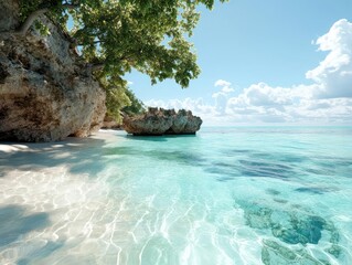 Poster - Clear turquoise water meets white sandy beach beneath a sunny blue sky with fluffy white clouds a rocky cliff and tree branches overhang the shore creating shade and dappled light