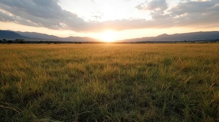 Aufkleber - Golden hour view of open grassland with sun shining over a mountain range with clouds and bright yellow sun