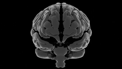 Aufkleber - Glossy black 3D brain isolated against a dark background, highlighting a minimal, futuristic concept that emphasizes its intricate anatomical structure.......