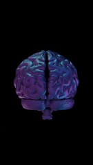Aufkleber - Glossy black 3D brain isolated against a dark background, highlighting a minimal, futuristic concept that emphasizes its intricate anatomical structure.