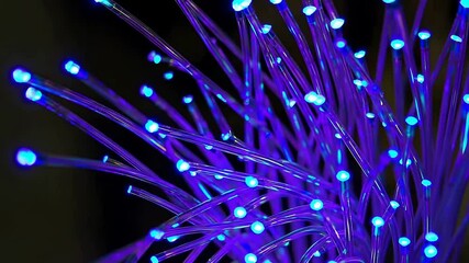 Poster - Dynamic blue fiber optic cables illuminate in stunning light display