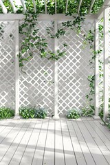 Fototapete - White wooden pergola with climbing plant creating beautiful shadow on the floor