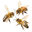 © khaledSaifulllah - Honey Bees in Flight and Resting - Isolated on White Background as Transparent. PNG. AI GENERATED