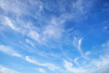 Wall Mural - beautiful blue sky with soft white clouds for abstract background