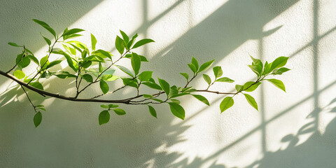 Poster - Green branch with leaves casts shadows on light wall, showcasing nature's simplicity and elegance, ideal for spring or nature themes