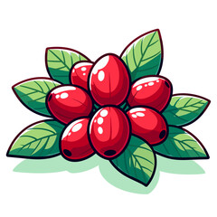 Wall Mural - Vector illustration of red dogwood berries with green leaves on light background. Perfect for botanical guides, seasonal foraging and ornamental garden planning.