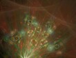 © Ni23 - Imaginatory fractal abstract background Image