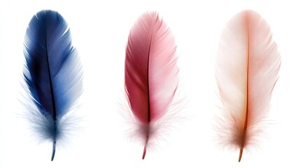 Poster - An artistic arrangement of feathers in blue, pink, and soft peach colors, reflecting an abstract representation of emotion and contemporary artistic expression in a minimalist style.