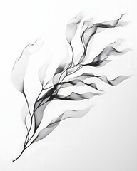 Poster - Abstract black line art seaweed branch on a clean white backdrop