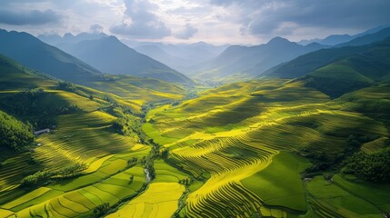 Poster - Aerial view of vibrant green and yellow rice terraces in a mountainous valley.