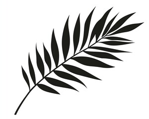 Poster - Black Palm Leaf Silhouette on White Background for Graphic Design