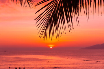 Wall Mural - Coconut palm leaves and nuts on tropical coast illuminated by red orange dawn, exotic mood vibe