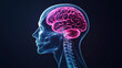© HiraStock - Medical imaging style illustration of human head profile showing glowing pink brain anatomy for neurology and neuroscience concepts