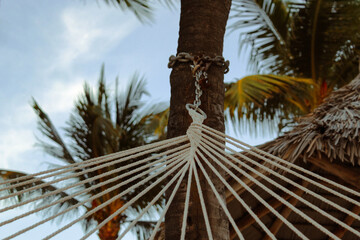 a hammock hanging between two palm trees, with a thatched-roof structure partially visible in the background. tropical relaxing beach vacation design element.