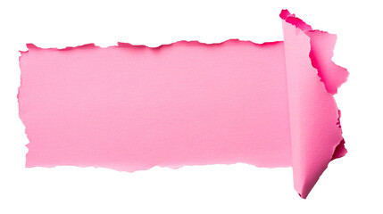 Wall Mural - torn vibrant pink paper with curled edge, detail design element, cut out transparent