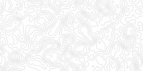 Poster - abstract curve grid map and topo contour map on white background, topographic contour lines. seamles