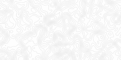 Poster - abstract curve grid map and topo contour map on white background, topographic contour lines. seamles