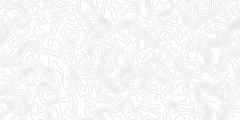 Poster - abstract curve grid map and topo contour map on white background, topographic contour lines. seamles