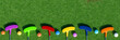 © Olga - Colorful mini golf balls and clubs on green grass