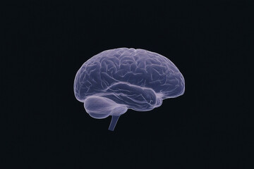 Poster - Mind's Eye: A digital rendering of the human brain against a deep, cool background, symbolizing intelligence, intellect, and the intricate nature of thought.